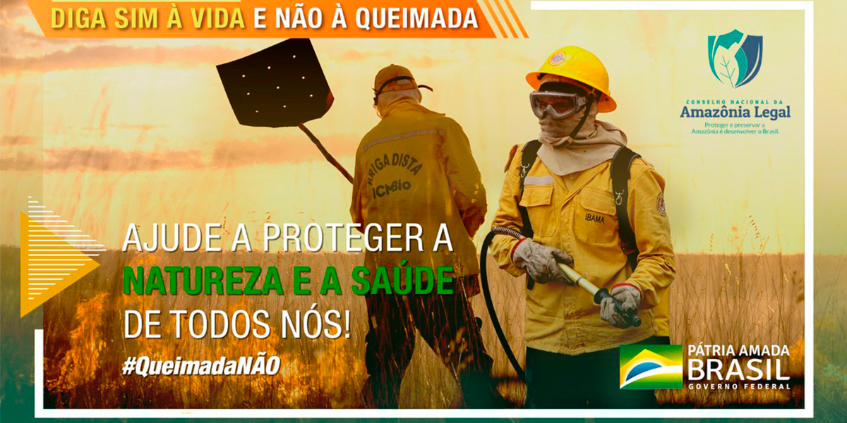 Campanha Verde Brasil 2. (Foto: Divulgao Foras Armadas)