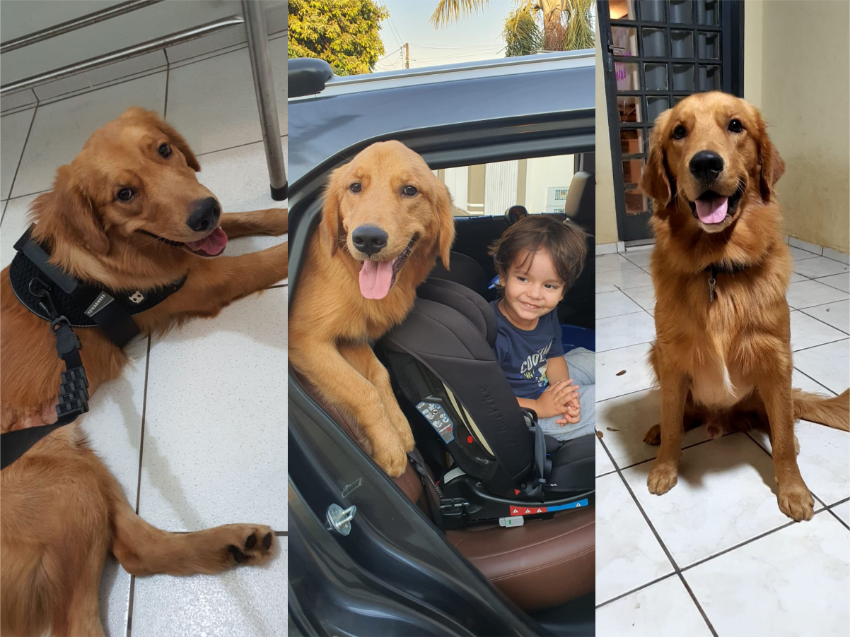 FOTO: Arquivo Pessoal