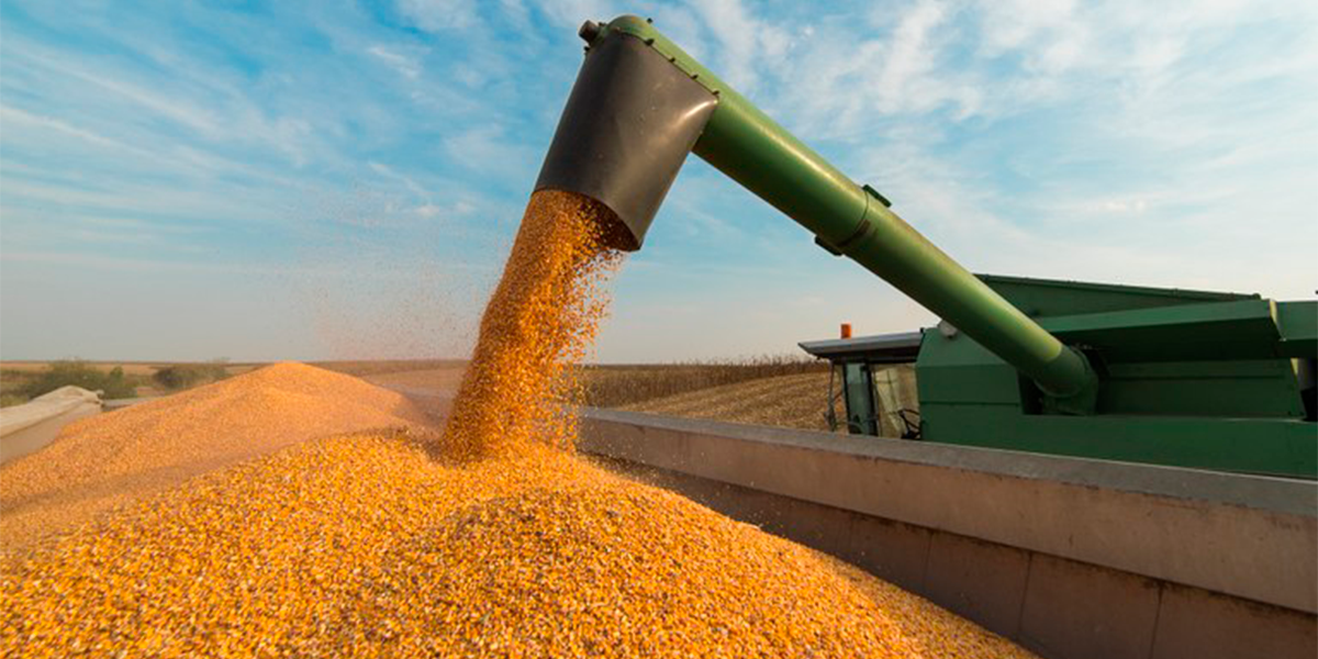 Valor da produo agrcola bate recorde. (Foto: Divulgao)