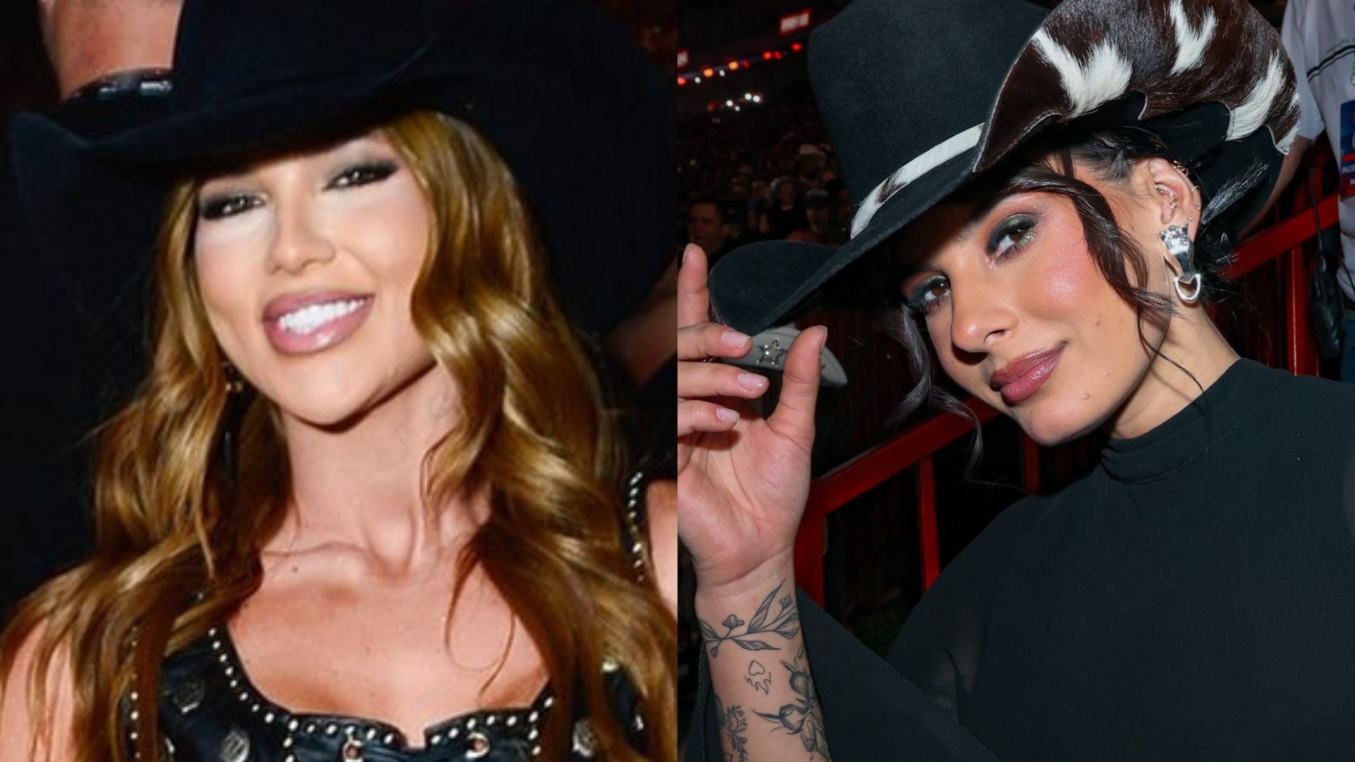 REPRODUÇÃO INTERNET