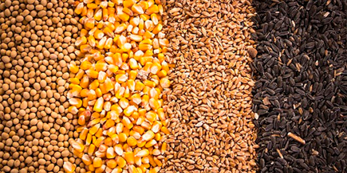 Irregularidade em fertilizantes. (Foto: Reproduo)