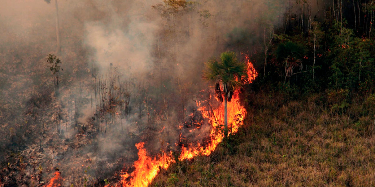 Focos de incndio no Pantanal. (Foto: Divulgao)