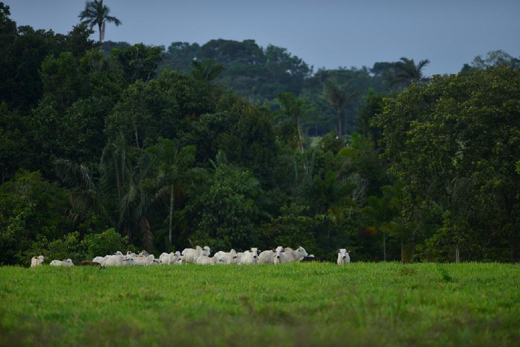 Foto: Assessoria