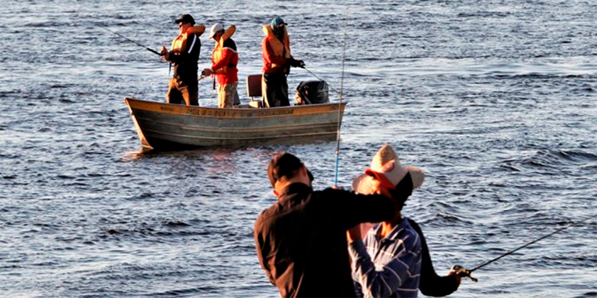 Incio da piracema. (Foto: Divulgao)