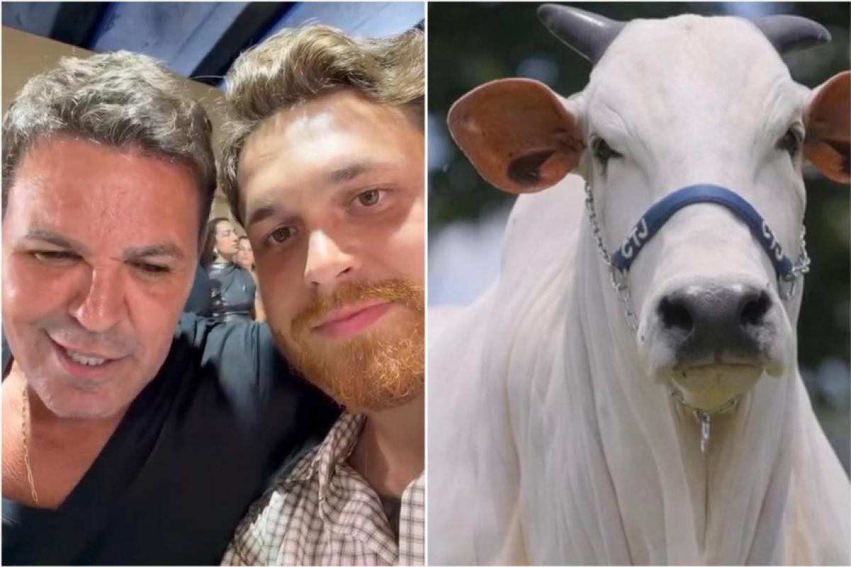 REPRODUÇÃO INTERNET