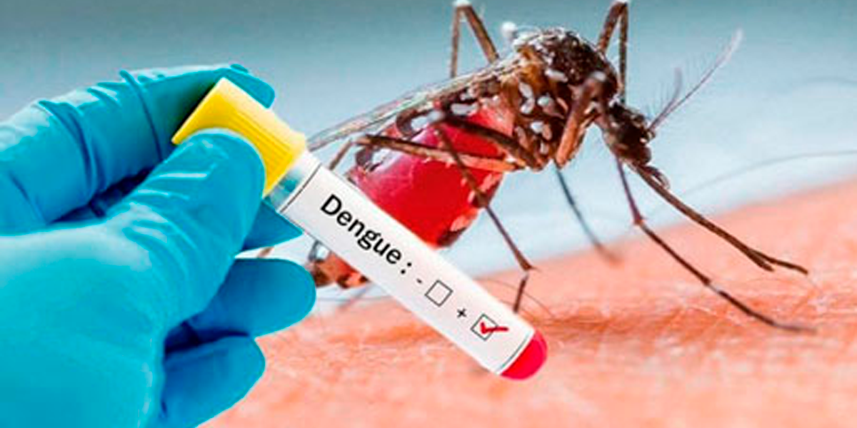 Sinop lidera o ranking com casos de dengue no Mato Grosso. (Foto: Reproduo)