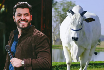 REPRODUÇÃO INTERNET