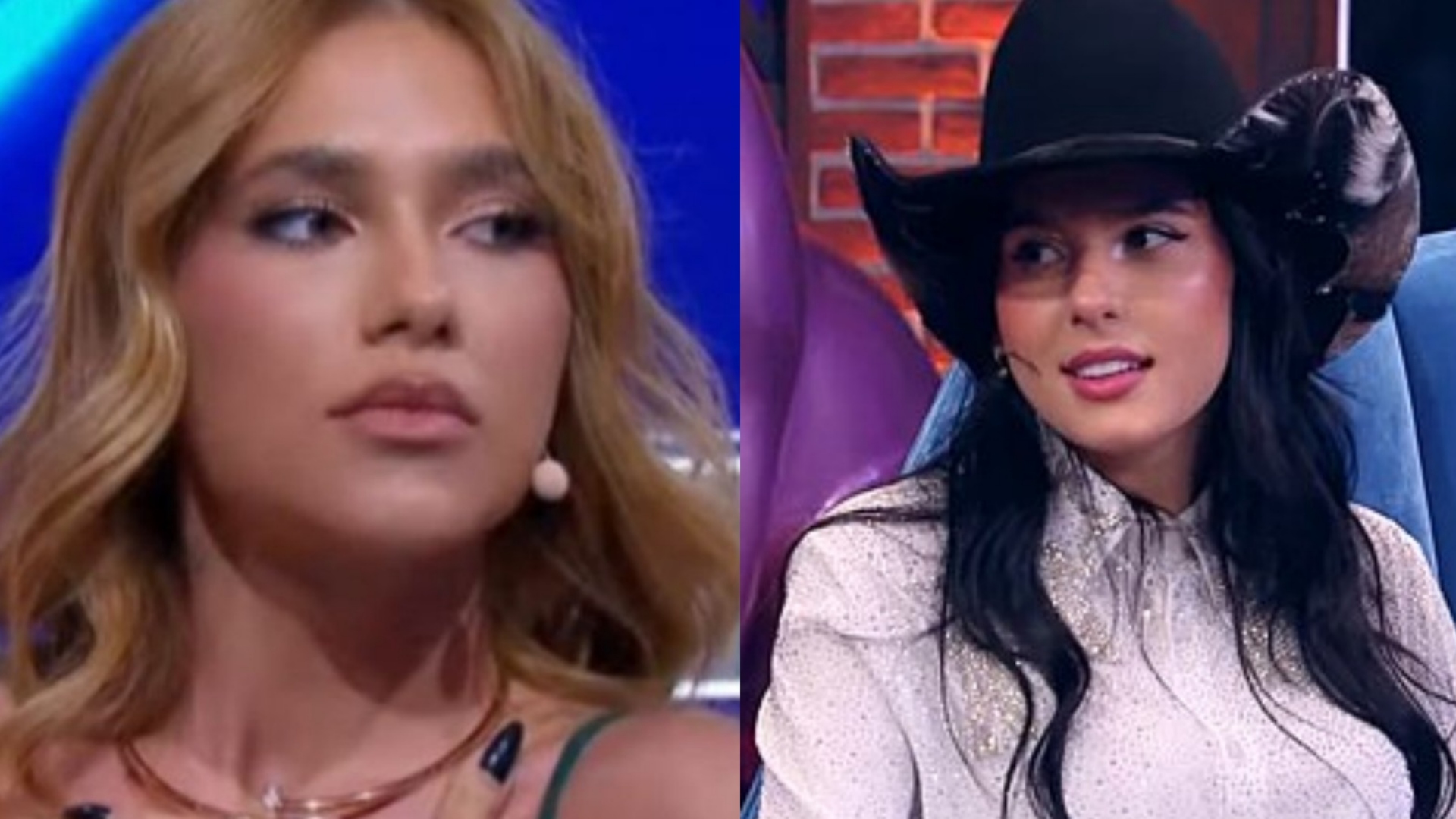 REPRODUÇÃO INTERNET